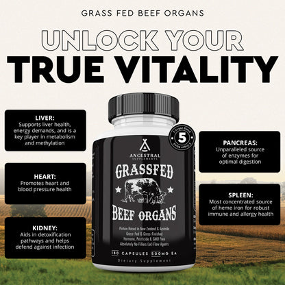 Grass Fed Beef Organs